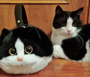 Realistic Plush Cat Handbag 🐱🤍